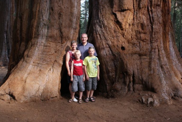 Dag 6: Sequoia (Bakersfield)