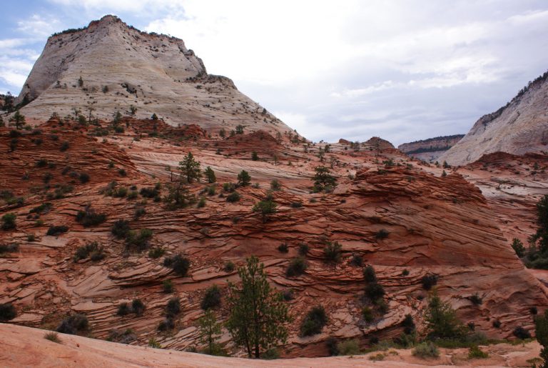 Dag 5, Mnt Carmel – Zion – Cliff Dwellers