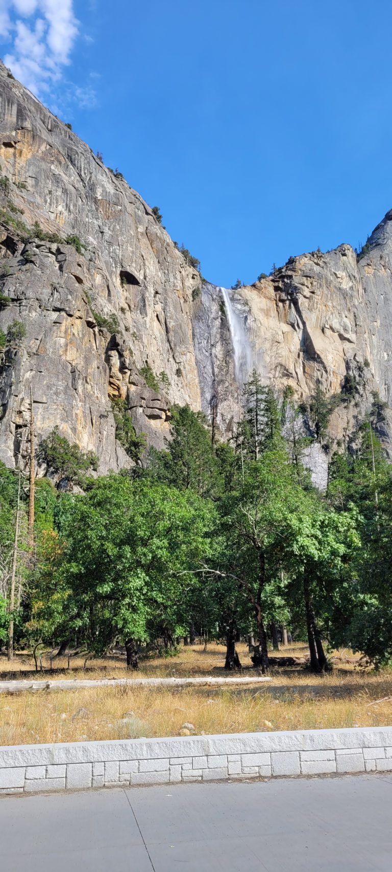 Dag 6, Beren zijn niet welkom (SF – Yosemite)